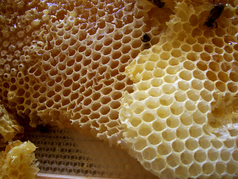 La Grille Blanche D'alvéoles En Forme De Nids D'abeilles Hexagonaux De  Diamètres Différents, Qui Vont Du Plus Grand Au Plus Petit Et à L'envers.  Illustration 3d